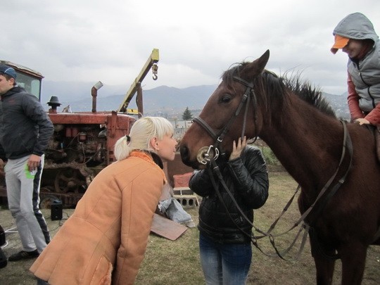 Любовь к лошадям